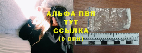 прущие крисы Бородино