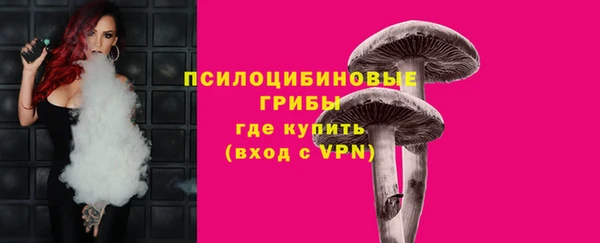 первитин Богородск
