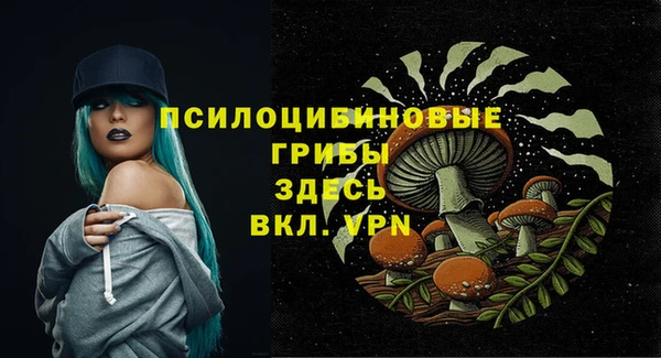 мескалин Богородицк
