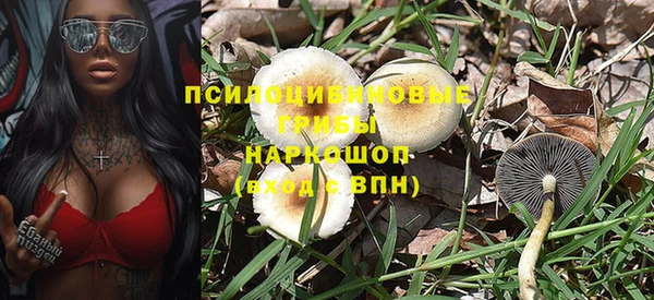 мескалин Богородицк