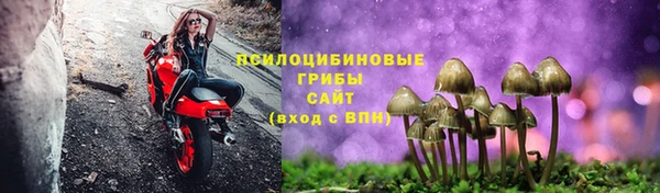 мескалин Богородицк