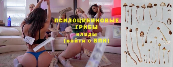 марки lsd Богданович