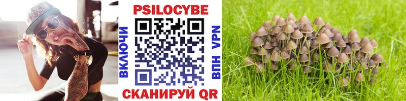 Псилоцибиновые грибы Psilocybine cubensis  Клинцы 
